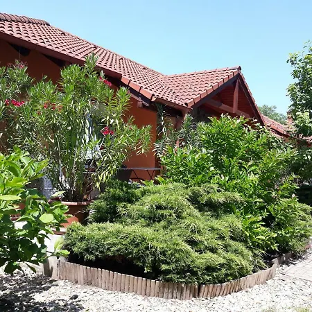 Apartament Ozon