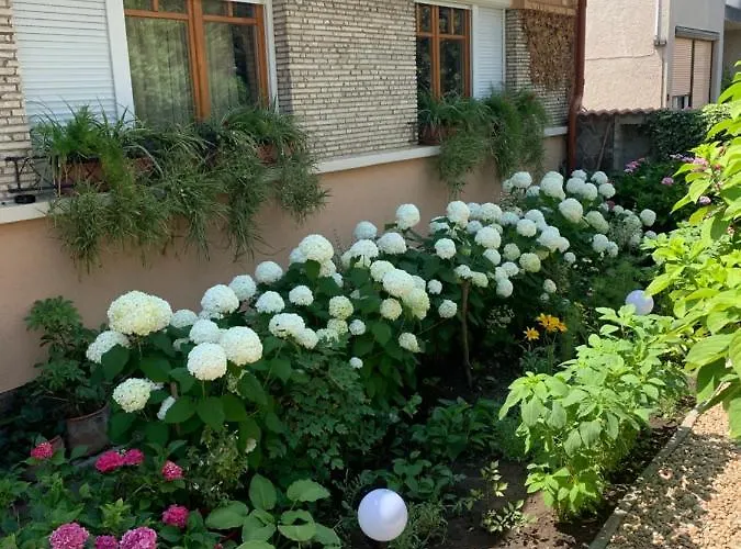 Ozon * Hajdúszoboszló