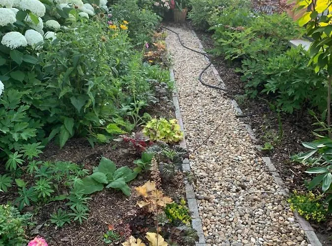 Ozon Hajdúszoboszló