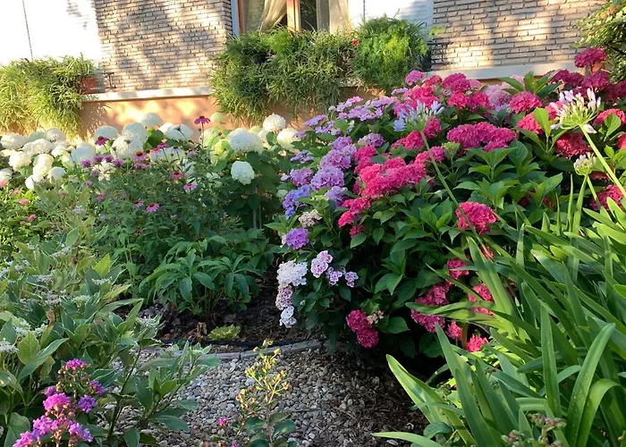 Ozon Διαμέρισμα