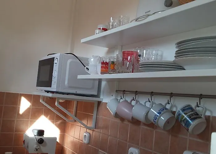 Ozon Hajdúszoboszló