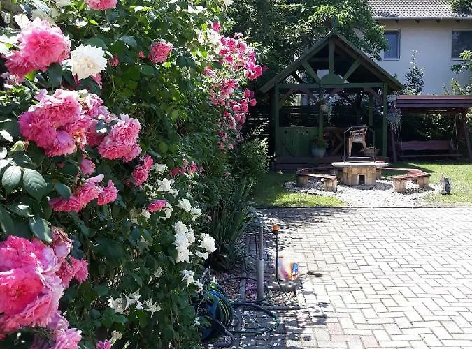 Ozon Hajdúszoboszló